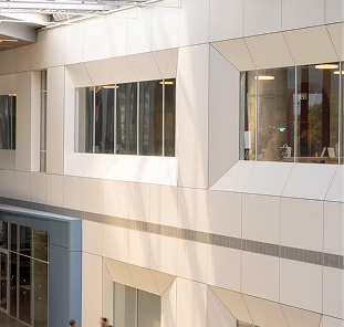 אלפא היא אחת העסקים החזקים של ישראל, הכלולה במהדורת המיוחדת של The Marker לציון יום העצמאות ה-76.